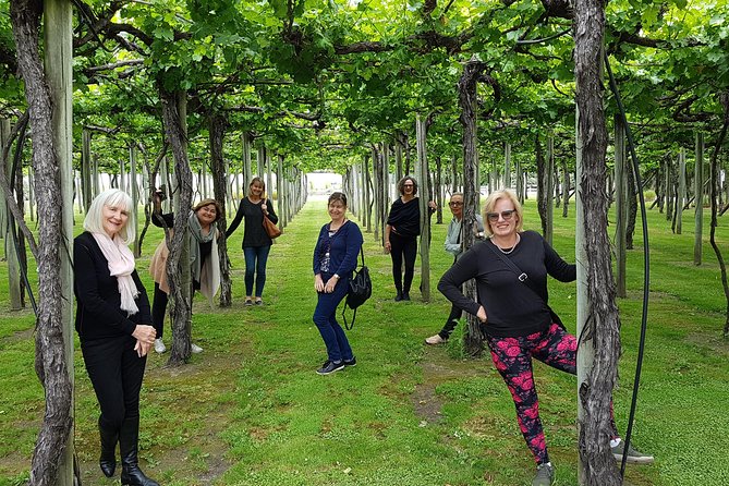 Shore Excursion Marlborough Wine Region Tour from Picton - Who should book this Marlborough shore excursion