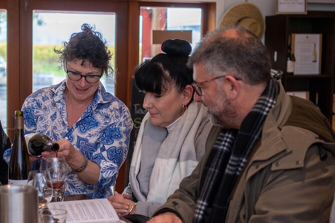 Shore Excursion Marlborough Wine Region Tour from Picton - How the small minivan keeps your cruise day on track
