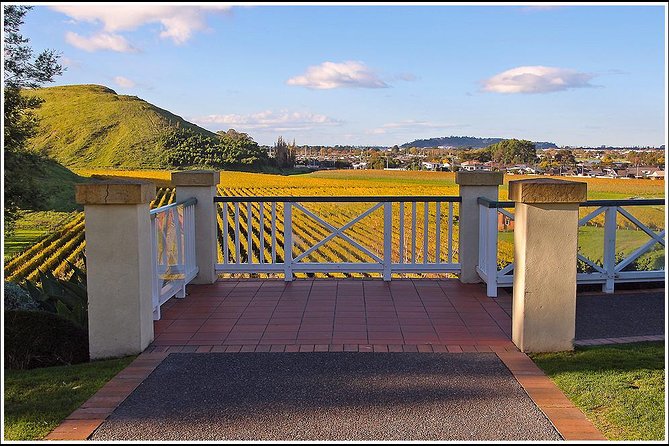 Shore Excursion: Napier/ Hawke's Bay & Premium Wineries tour - Should you book it? My quick verdict