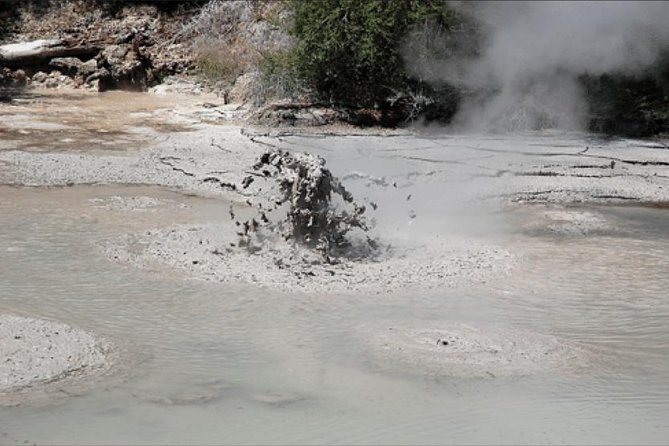 Shore excursion to Rotorua including Gondola and luge rides - Price and what you really get for $215
