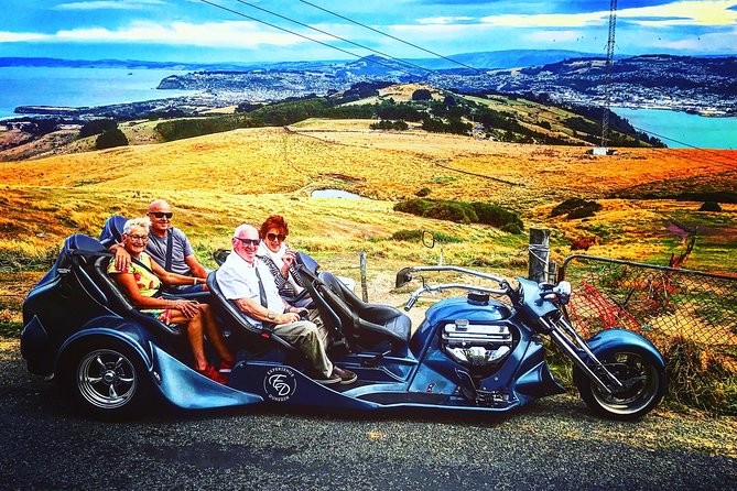 Shore Excursion: V8 Trike, Peninsula and City Tour - Why a V8 trike is a great Dunedin cruise excursion