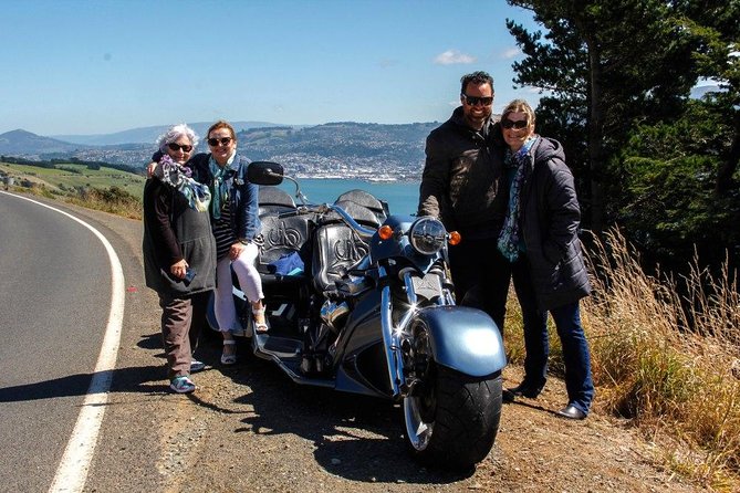 Shore Excursion: V8 Trike, Peninsula and City Tour - Otago Peninsula: the 5-minute photo stop and the payoff views