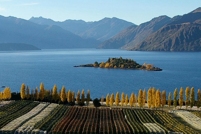 Skydive Wanaka - The schedule that keeps you calm: check-in to the plane