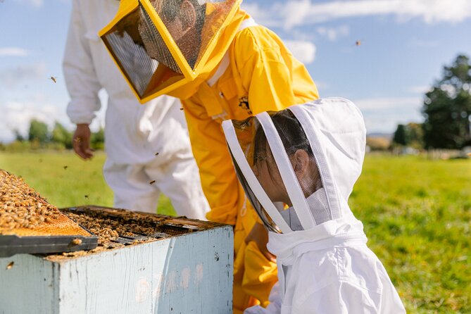 Small-Group Beekeeping Experience in Tauherenikau - Key highlights worth showing up for