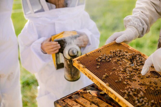 Small-Group Beekeeping Experience in Tauherenikau - Price and small-group value in Tauherenikau