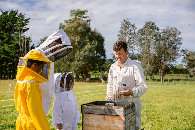 Small-Group Beekeeping Experience in Tauherenikau - The processing factory stop, from hive to jar