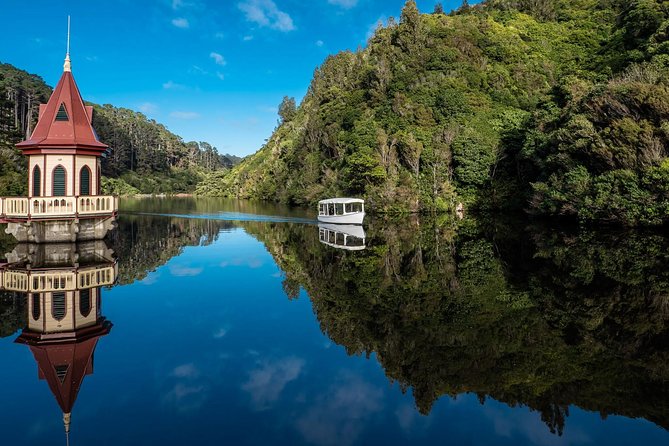 Small Group Daytime 2-Hour Eco Wildlife Tour at Zealandia - What makes this tour feel special compared to wandering on your own