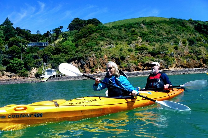 Small group guided sea kayaking in Akaroa marine reserve - Akaroa marine reserve: why this paddle feels more real