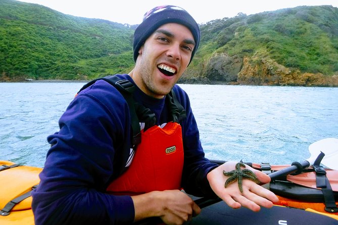 Small group guided sea kayaking in Akaroa marine reserve - Your 2 to 3 hour itinerary on the sea kayak