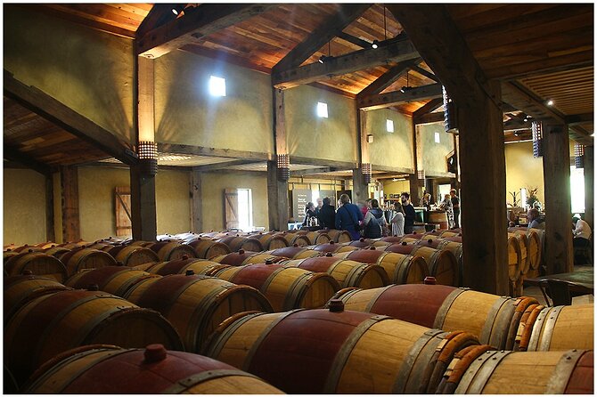 Small Group - Half-Day Hawke's Bay Winery Tour - Your guide makes it feel local, not scripted