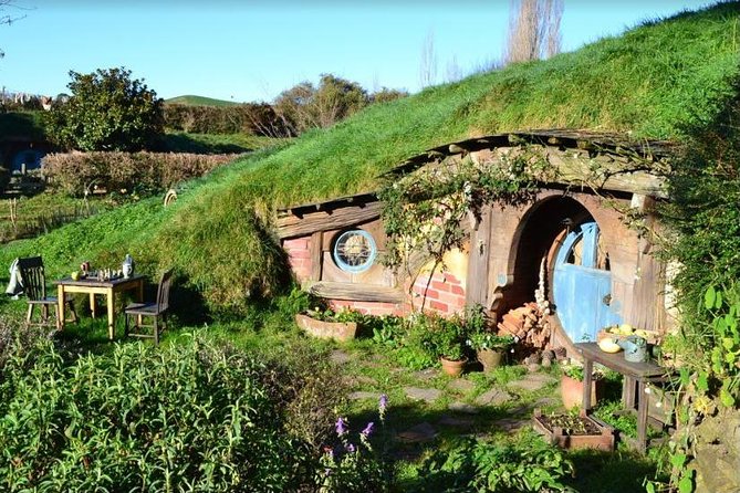 Small-Group Hobbiton and Waitomo Day Tour with Lunch from Auckland - Price of $316.49: what you really get for your money