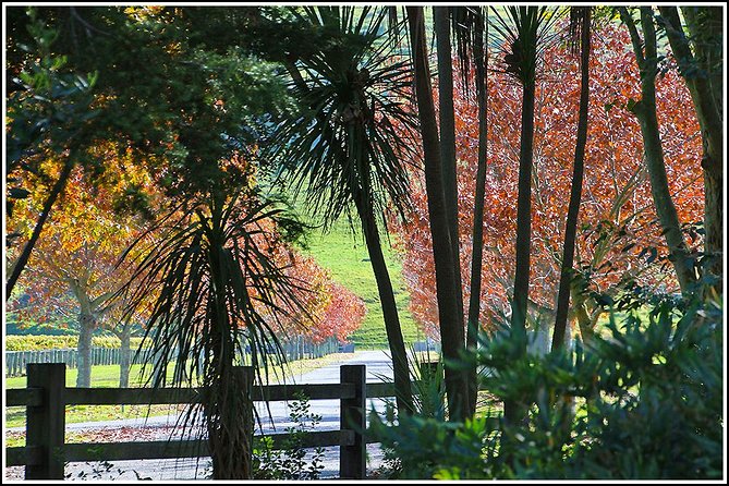 Small group - Napier Premium Wineries+ Beer tour -5.0 - 5.5 hours - Stop-by-stop pacing: how the tasting day stays on track