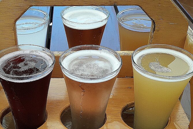 Small group - Napier Premium Winery , Beer & Cider + 5.5h to 6h. - Lunch with cheese platters or pizzas, timed for tasting