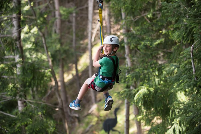 Small-Group Zipline Adventure in Queenstown - Ziptrek Treehouse Launch, What It Really Feels Like