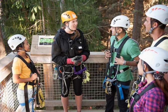 Small-Group Zipline Adventure in Queenstown - The Beechnut Forest Flight and the Views You Actually Get