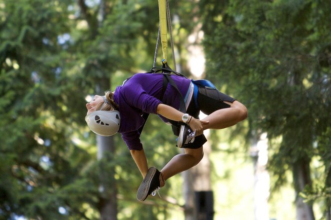 Small-Group Zipline Adventure in Queenstown - What Happens From Check-In to Final Zip
