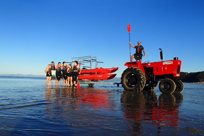 Southern Duo kayak & walk tour - Key highlights to know before you go