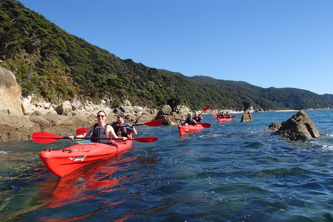 Southern Duo kayak & walk tour - Abel Tasman in one day: water views, then walking views