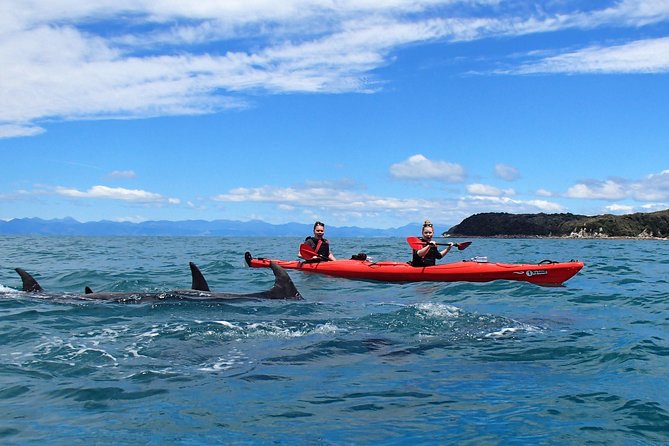 Southern Duo kayak & walk tour - Weather rules in Abel Tasman: what good conditions mean