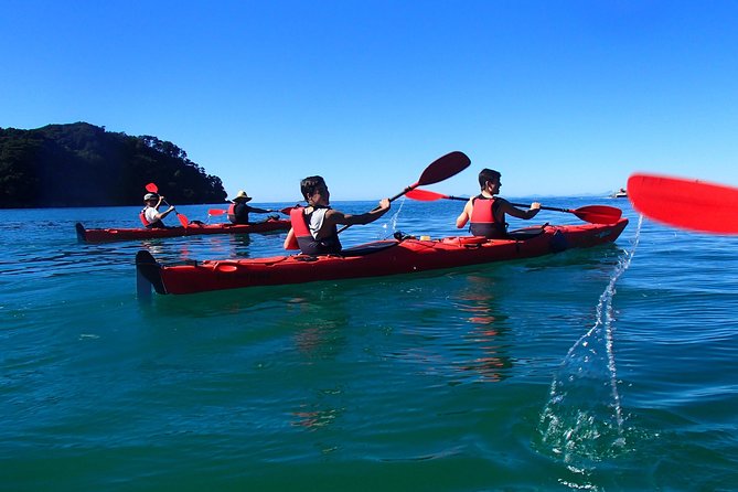 Southern Duo kayak & walk tour - Where the day delivers the most joy