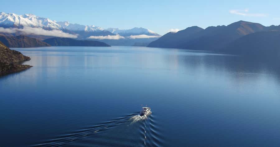 Stevensons Island 2-Hour Cruise and Nature Walk - From the old jetty to Stevensons Arm, the views start fast