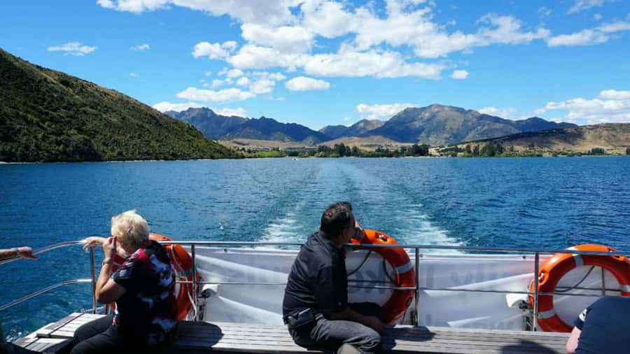 Stevensons Island 2-Hour Cruise and Nature Walk - What you actually get for comfort, warmth, and photos