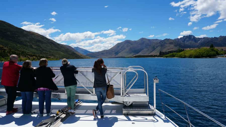Stevensons Island 2-Hour Cruise and Nature Walk - Timing in the real world: can you fit 2 hours in?