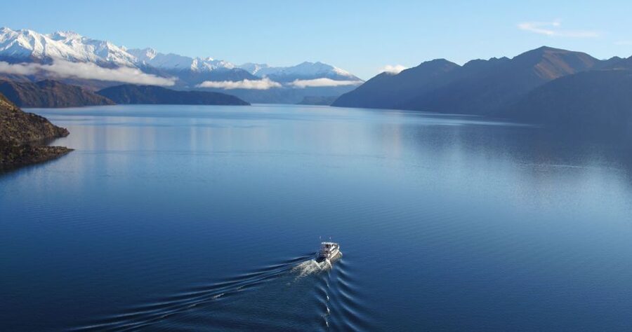 Stevensons Island 2-Hour Cruise and Nature Walk - Who should book this cruise, and who should skip it