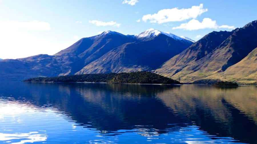 Stevensons Island 2-Hour Cruise and Nature Walk - Should you book the Stevensons Island 2-Hour Cruise and Nature Walk?