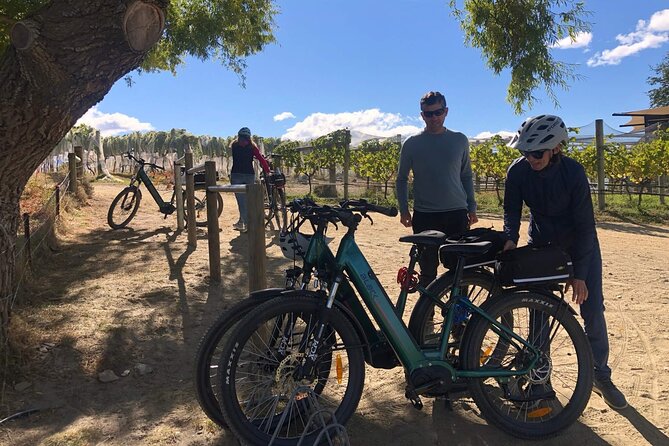 Stevensons Island Cruise and Nature Walk - The return ride and afternoon tea: included comfort after the hike