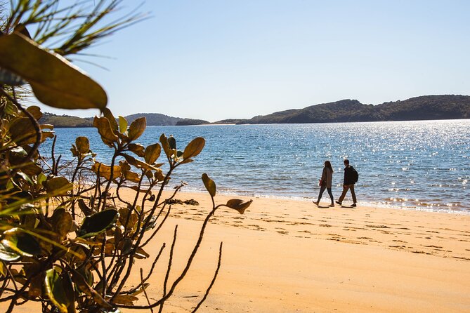 Stewart Island Fly Explore Fly ex Queenstown by Glenorchy Air - Duration and timing: how to manage a full-day pace
