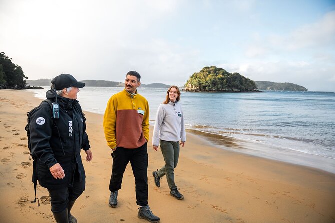 Stewart Island Guided Wilderness Walk - Key highlights you should know before you go