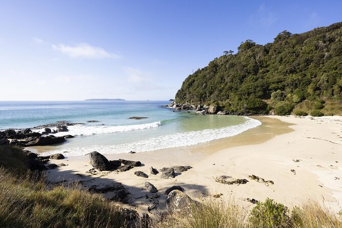 Stewart Island Guided Wilderness Walk - Oneke, The Neck on Rakiura: what this tour gets right