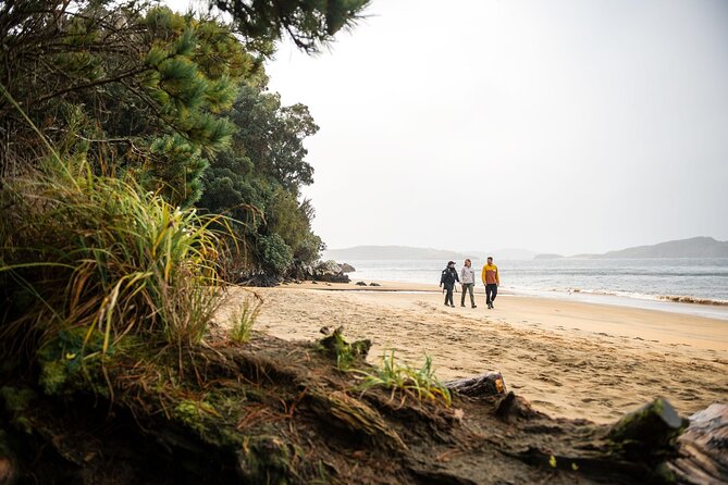 Stewart Island Guided Wilderness Walk - Māori and European heritage stories, led with actual respect