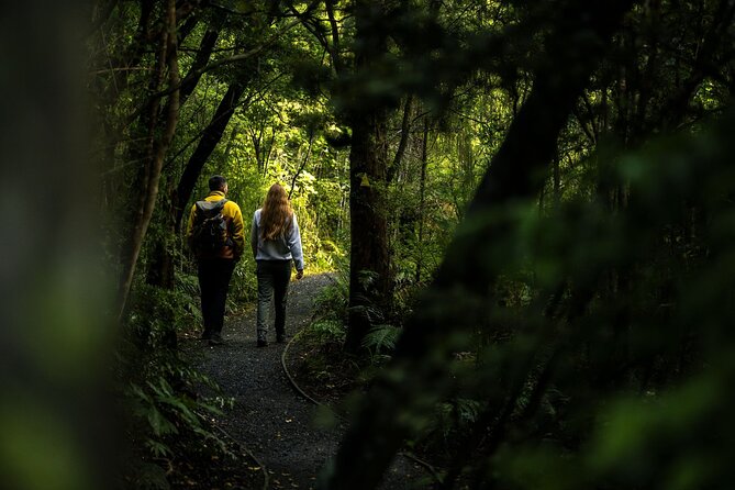 Stewart Island Guided Wilderness Walk - What to wear and how to handle the moderate fitness requirement