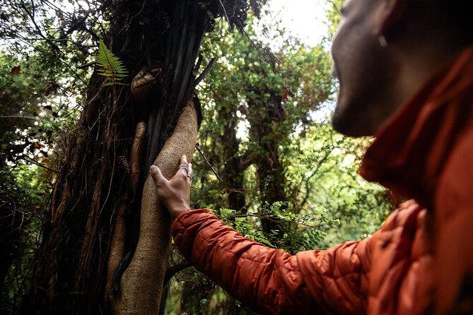 Stewart Island Guided Wilderness Walk - Timing: 3 hours 15 minutes that work as a half-day plan