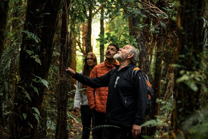 Stewart Island Guided Wilderness Walk - Price and what you actually get for the $123.49 ticket