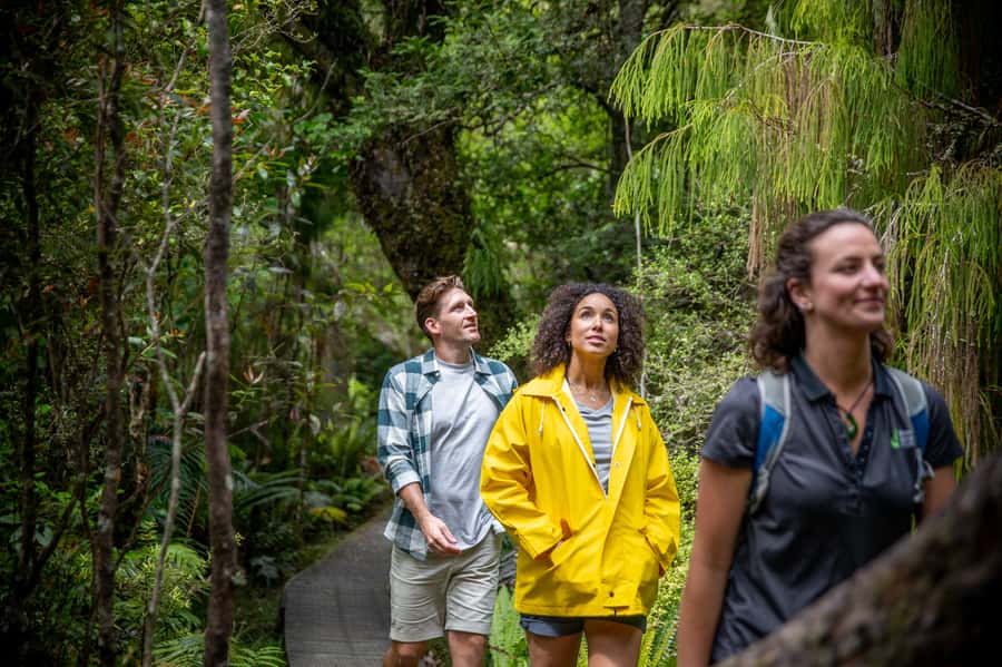 Stewart Island: Ulva Island Guided Wilderness Walk & Cruise - The Stories on the Water: Maori History and European Settlement