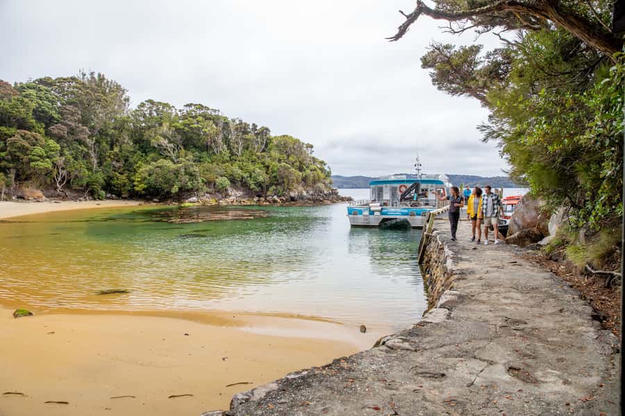 Stewart Island: Ulva Island Guided Wilderness Walk & Cruise - Timing and Pace: 150 Minutes That Might Feel Slow