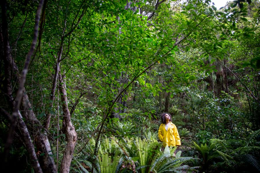 Stewart Island: Ulva Island Guided Wilderness Walk & Cruise - What to Bring (So Weather and Bugs Don’t Win)