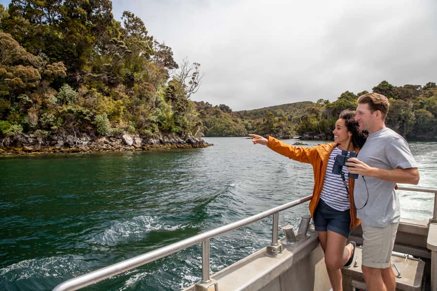 Stewart Island: Ulva Island Guided Wilderness Walk & Cruise - Ulva Island Wildlife Sanctuary: How a Bird Walk Should Feel