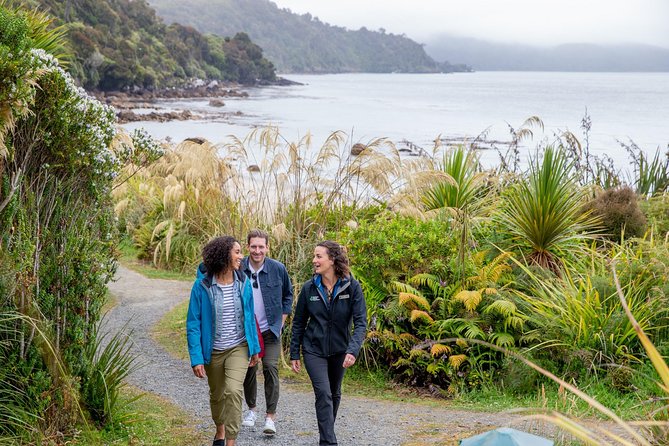 Stewart Island: Village and Bays Tour - Observation Rock and Paterson Inlet: the view that settles your brain