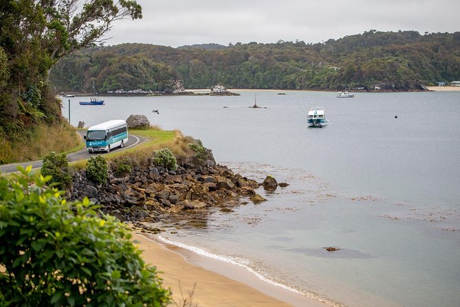 Stewart Island: Village and Bays Tour - What you’ll learn beyond scenery