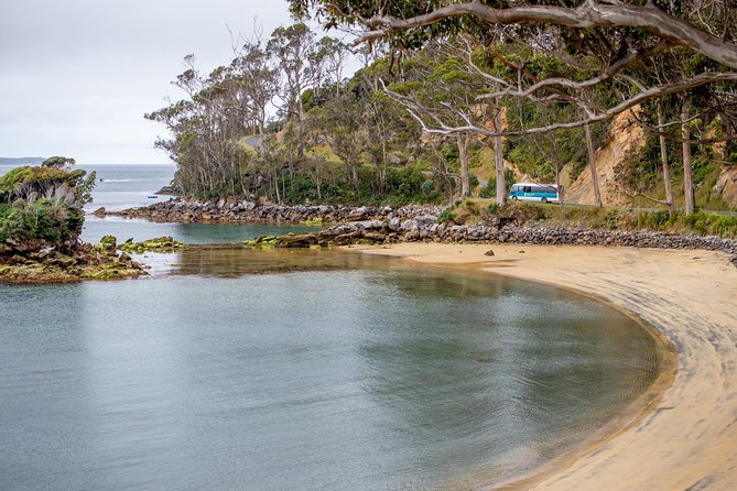 Stewart Island: Village and Bays Tour - Value check: is $35 for 90 minutes worth it?