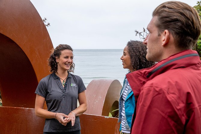 Stewart Island: Village and Bays Tour - How the 90-minute mini bus tour actually feels