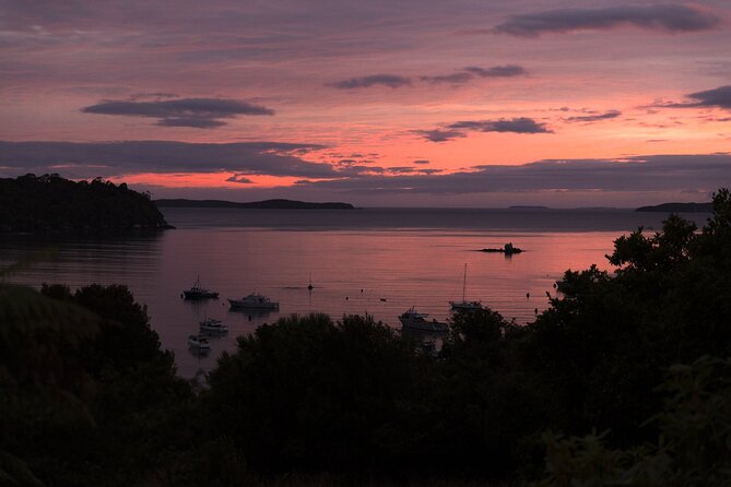 Stewart Island: Wild Kiwi Experiences - Physical reality: walking time, footwear, and night comfort