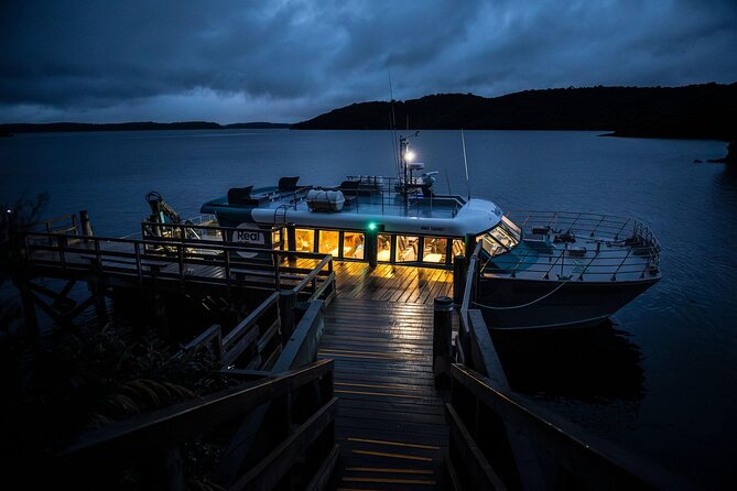 Stewart Island: Wild Kiwi Experiences - Price and value: what $154 gets you, and why it can be worth it