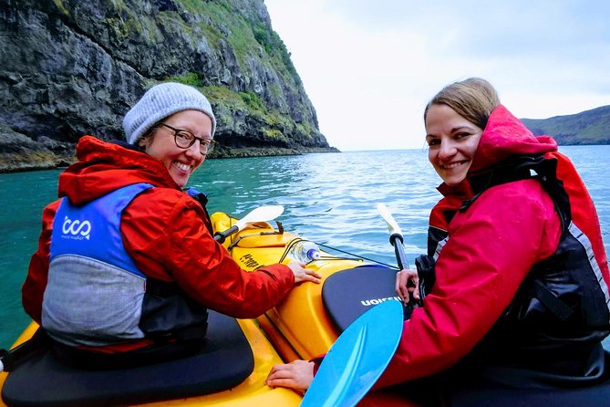 Sunrise wildlife sea kayaking in Akaroa marine reserve - Why Akaroa Sunrise Sea Kayaking Feels Different