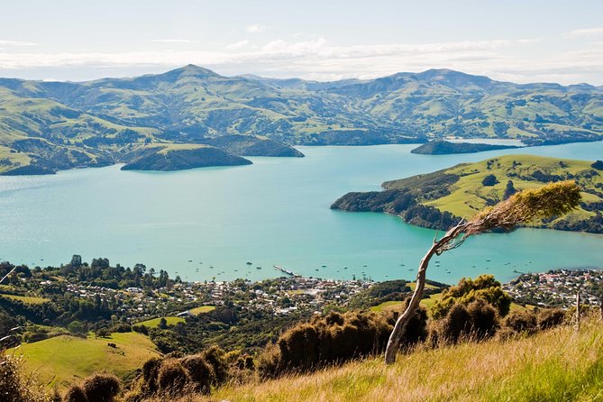 Sunrise wildlife sea kayaking in Akaroa marine reserve - Price and Value: Is $96.19 Worth It?