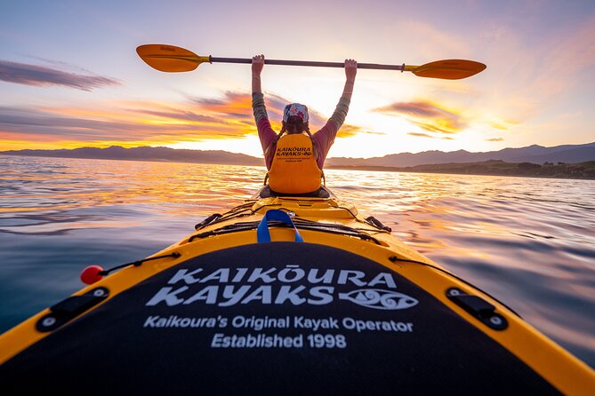 Sunset Evening Kayaking Tour - Kaikoura - Key Things to Know Before You Go